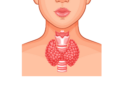 Êtes-vous à risque d&rsquo;Hypothyroïdie ?