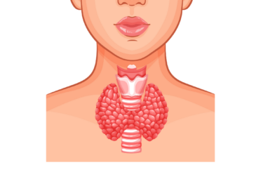 Êtes-vous à risque d&rsquo;Hypothyroïdie ?