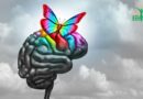 Autisme Léger : Stratégies d&rsquo;Intervention et de Soutien