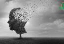 Le lien entre l&rsquo;anémie et la maladie d&rsquo;Alzheimer : Ce qu&rsquo;il faut savoir