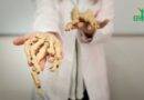 La croissance des os humains: un processus fascinant