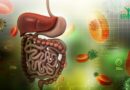 Gastroentérologie: son rôle