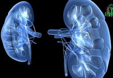 La Polycystose Rénale : Comprendre, Diagnostiquer et Gérer