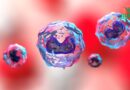 Immunologie : son rôle