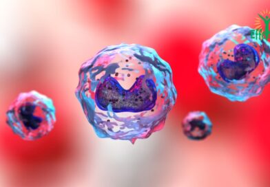Immunologie : son rôle