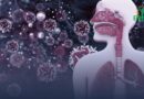 Infectiologie : son rôle