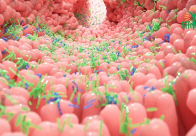 Les mystères du microbiote intestinal