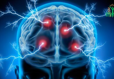 Le Carburant Secret de Notre Cerveau