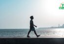 Pourquoi Sodium-Potassium et Calcium-Magnésium sont-ils Liés dans notre Physiologie ?