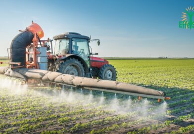 Pesticides dans nos Aliments : Conséquences Inattendues