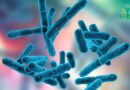 Les Probiotiques et la Santé Mentale : Y a-t-il un Lien ?