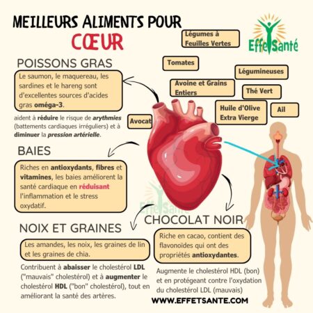 cœur, aliments pour le cœur, meilleurs aliments pour le coeur , coeur en santé 