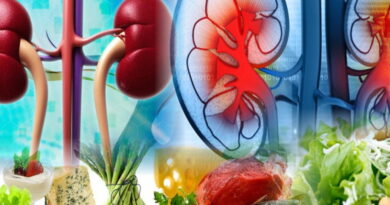 Les Aliments Qui Nettoient les Reins