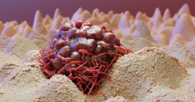 L&rsquo;Immunothérapie : Quand votre corps devient votre meilleur allié